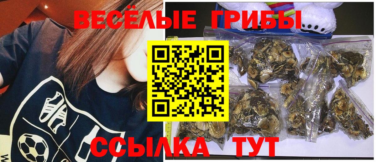 Псилоцибиновые грибы мицелий  Вход с VPN  Армавир 