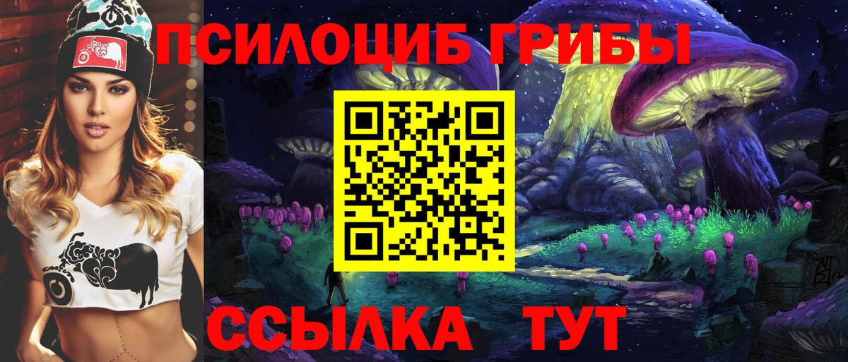 Галлюциногенные грибы Psilocybe Армавир